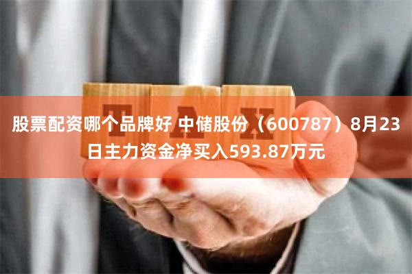 股票配资哪个品牌好 中储股份（600787）8月23日主力资金净买入593.87万元