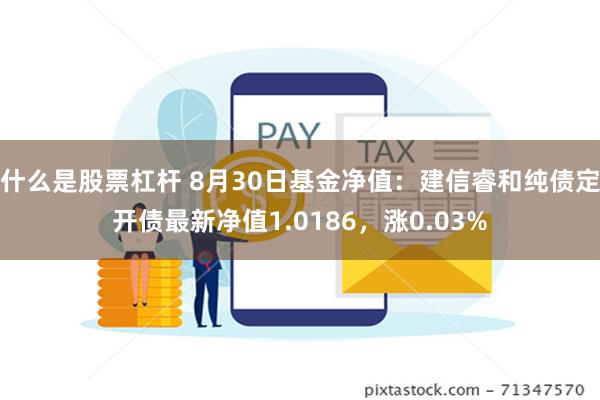 什么是股票杠杆 8月30日基金净值：建信睿和纯债定开债最新净值1.0186，涨0.03%