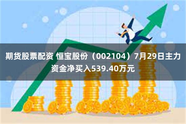 期货股票配资 恒宝股份（002104）7月29日主力资金净买入539.40万元