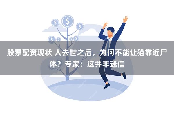 股票配资现状 人去世之后，为何不能让猫靠近尸体？专家：这并非迷信