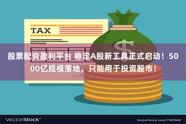 股票配资盈利平台 稳定A股新工具正式启动！5000亿规模落地，只能用于投资股市！