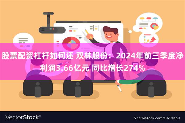 股票配资杠杆如何还 双林股份：2024年前三季度净利润3.66亿元 同比增长274%