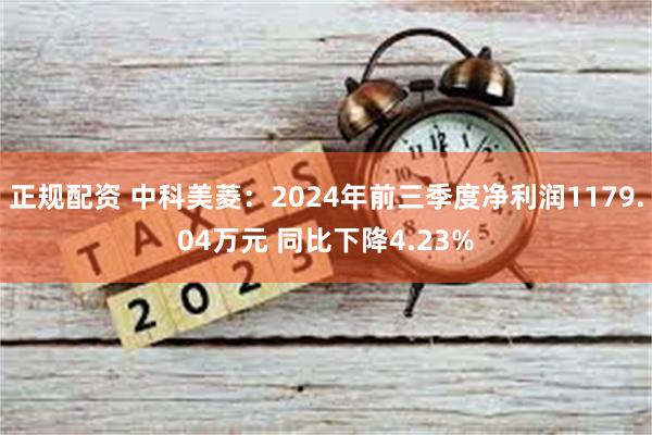 正规配资 中科美菱：2024年前三季度净利润1179.04万元 同比下降4.23%