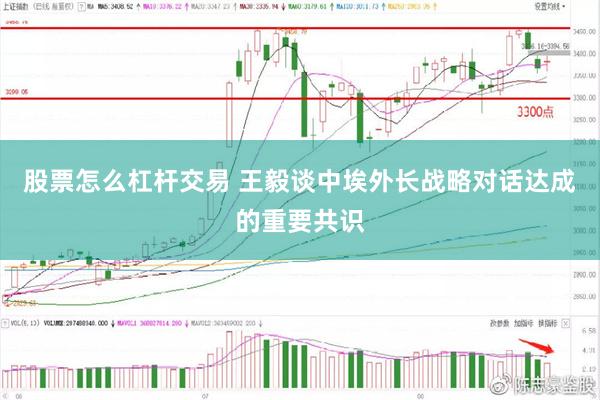 股票怎么杠杆交易 王毅谈中埃外长战略对话达成的重要共识