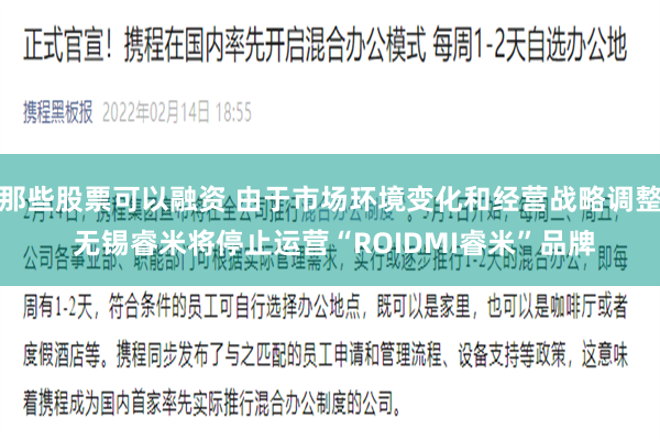 那些股票可以融资 由于市场环境变化和经营战略调整 无锡睿米将停止运营“ROIDMI睿米”品牌