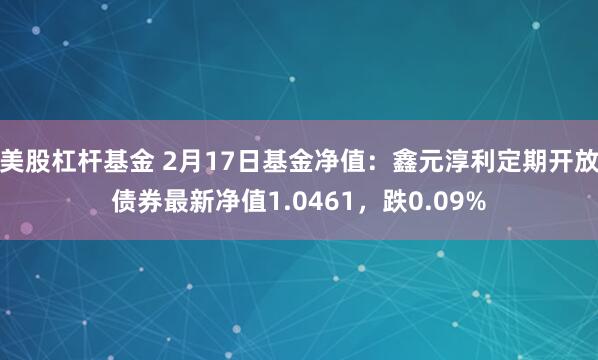 美股杠杆基金 2月17日基金净值：鑫元淳利定期开放债券最新净值1.0461，跌0.09%