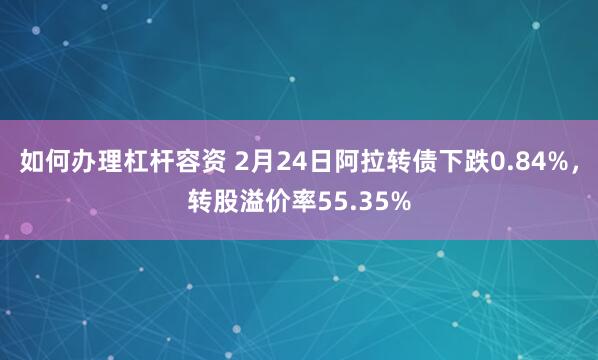 如何办理杠杆容资 2月24日阿拉转债下跌0.84%，转股溢价率55.35%