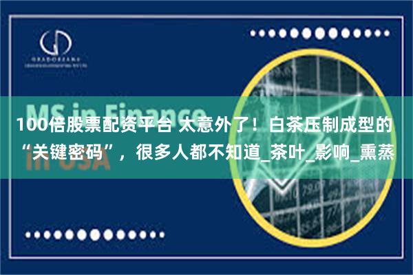 100倍股票配资平台 太意外了!白茶压制成型的 “关键密码”,很多人都不知道_茶叶_影响_熏蒸
