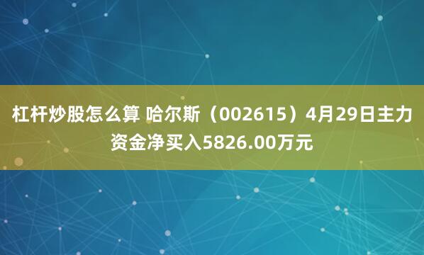 杠杆炒股怎么算 哈尔斯（002615）4月29日主力资金净买入5826.00万元